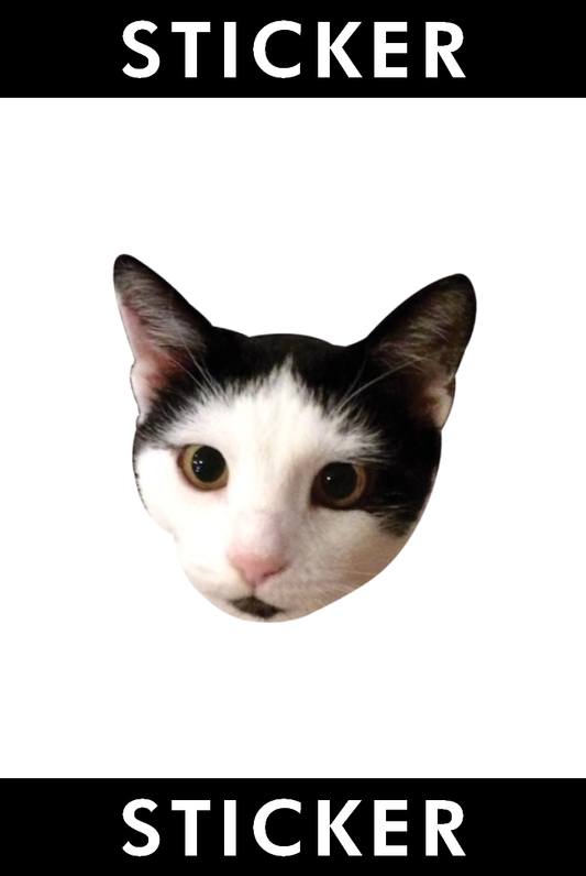 VINYL STICKER: Cute Nova