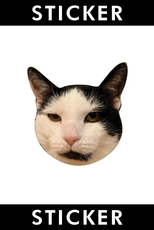 VINYL STICKER: Disgruntled Nova